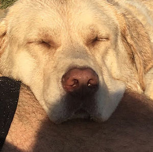 Meet your Posher, John thor